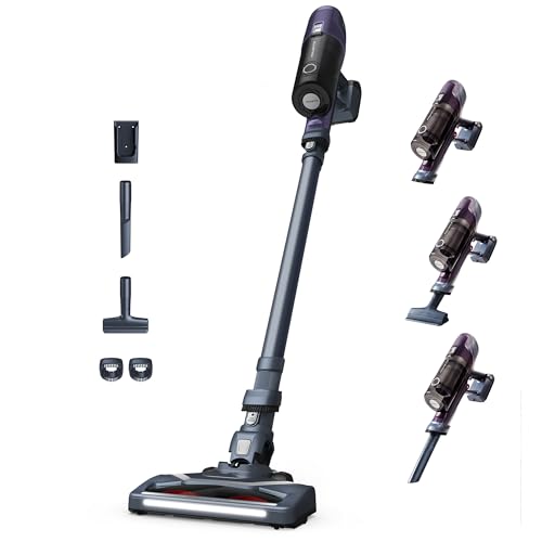 Rowenta X-Pert 6.60 Aspirateur Balai sans fil, Léger, Puissance 100W,